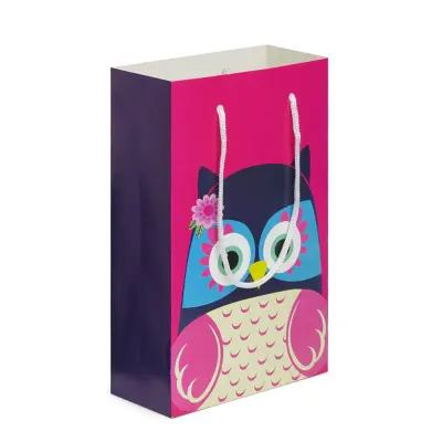 Sacolinha de Papelão Decorada Tipo Presente Corujinha - 18x28x7,5cm personalizado