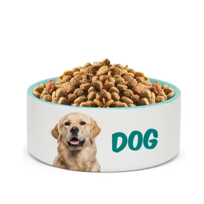 Tigela PET de Cerâmica Grande Branca com Interior Verde (18x8cm) - 1000ml personalizado