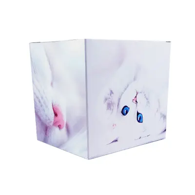 Caixinha para Caneca de Papelão Decorada tipo Presente - Gatinho personalizado