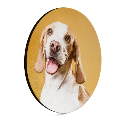 Placa de MDF com Tecido Brilho de 6mm Redondo - 18,5cm personalizado